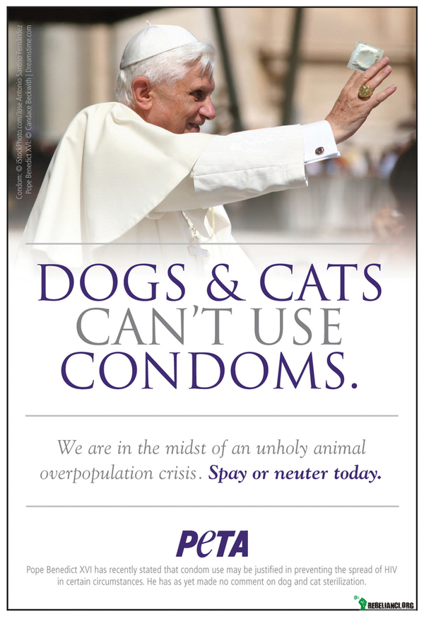 Sterylizacja. – Nadmierny przyrost naturalny bezpańskich zwierząt osiągnął apogeum. 
Ostatnio papież uznał prezerwatywy za pożyteczne w pewnych sytuacjach.
Jednak psy i koty nie używają prezerwatyw. Dlatego trzeba je sterylizować. 
Na temat sterylizacji psów i kotów papież jeszcze się nie wypowiedział. 
