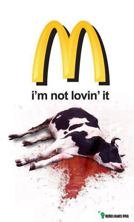 Fast foody promują masowe zabijanie –  