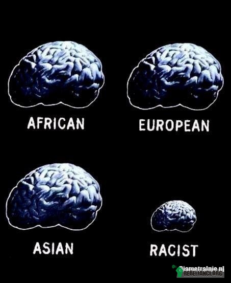 Rasizm –  