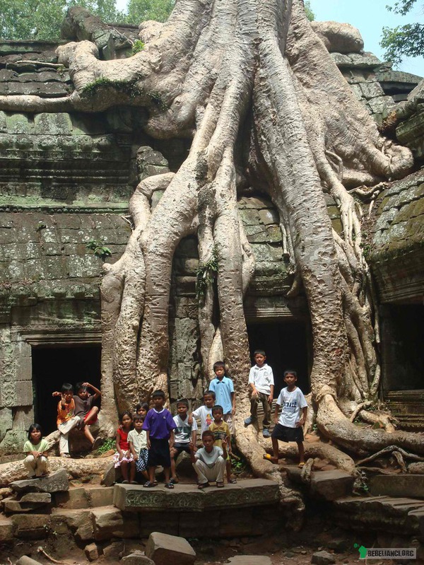Świątynia drzewa – Banyan Tree Temple, Indonezja 