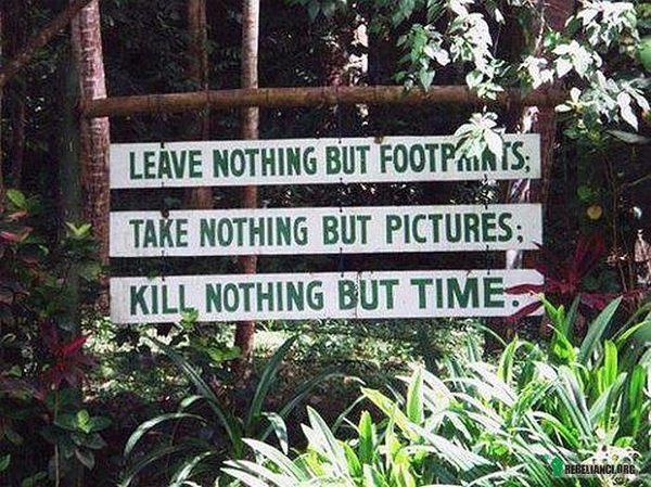 Napis – Napis przy wejściu do lasu :
Nie zostawiaj nic oprócz śladów stóp.
Nie zabieraj nic oprócz zdjęć.
Nie zabijaj nic oprócz czasu. 