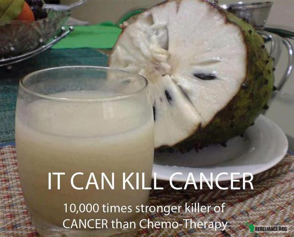 Walka z rakiem – Owoc z drzewa Graviola czy inaczej Soursop ponoć jest dużo bardziej skuteczny niż chemia. Polecam wygoglować i przetestować jako alternatywe. 