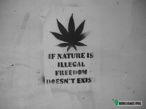 Jeśli to, co naturalne jest nielegalne wolność nie istnieje. –  