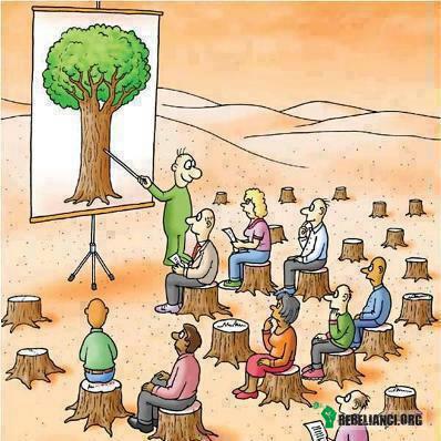 Nauka o drzewach –  