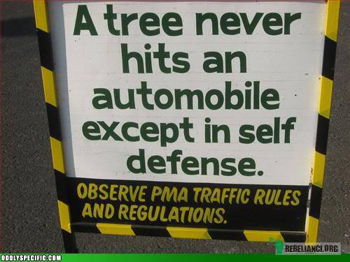 Drzewo uderzy tylko w samoobronie. – Jedź zgodnie z przepisami. Nie oskarżaj drzew. 
