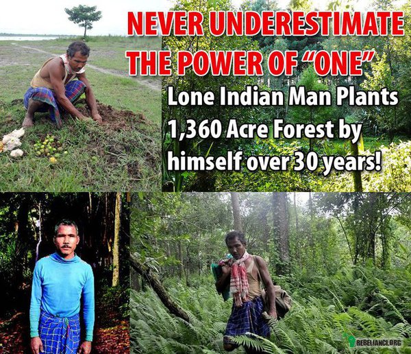 Jeden człowiek stworzył las ! –  