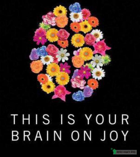 Twój mózg na szczęściu –  