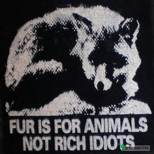 Futro jest dla zwierząt, nie dla idiotów z kasą –  