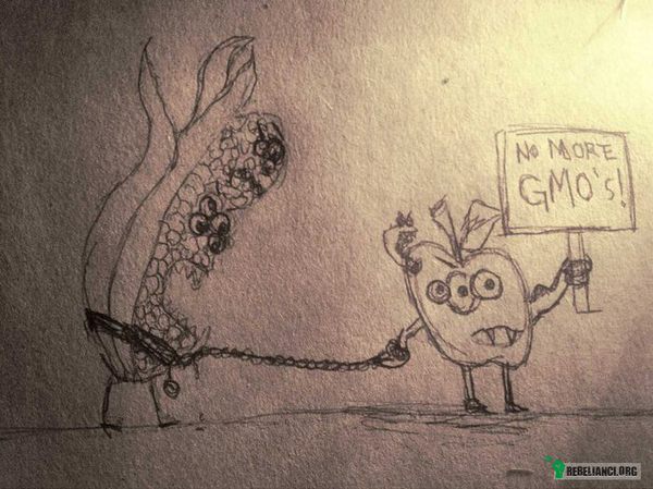 Nigdy więcej GMO! –  
