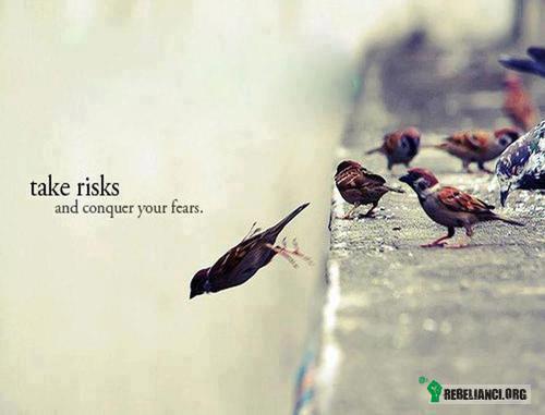 Podejmij ryzyko, zwalcz swój strach. –  