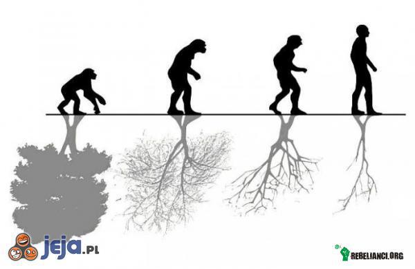 Ewolucja środowiska przy człowieku –  