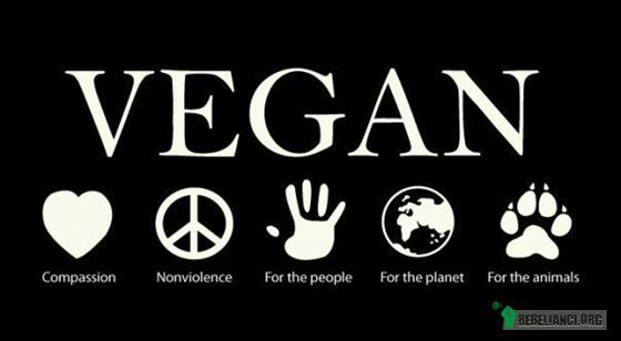 Vegan –  