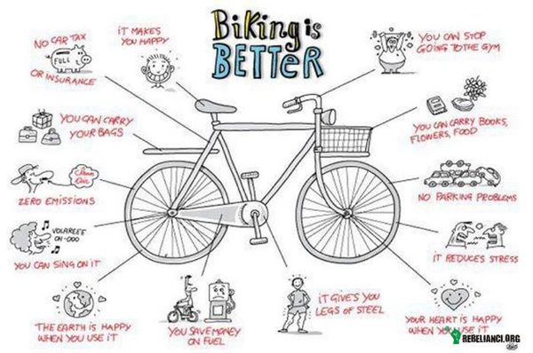 Wybierz rower! –  