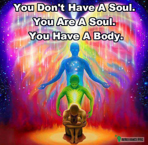 Jesteś duszą –  