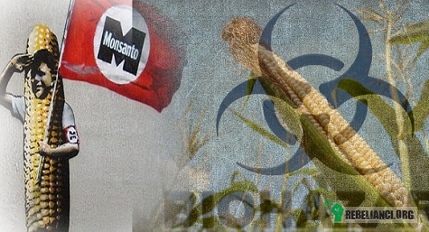 Monsanto –  
