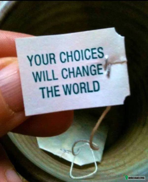 Twoje wybory zmienią świat –  