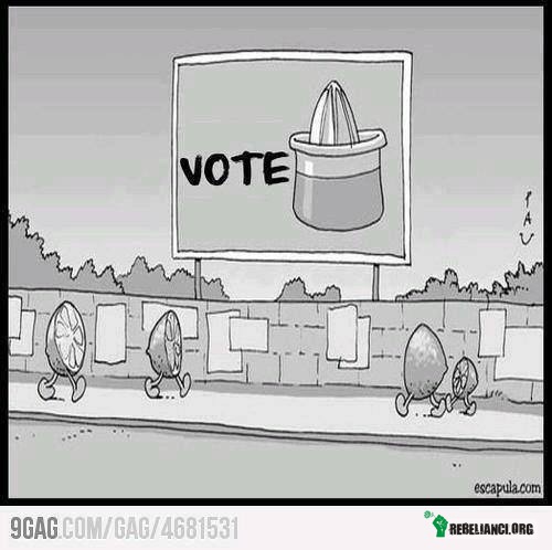 Wybory –  