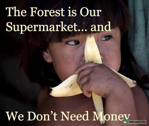 Las jest naszym supermarketem... – nie potrzebujemy pieniędzy 