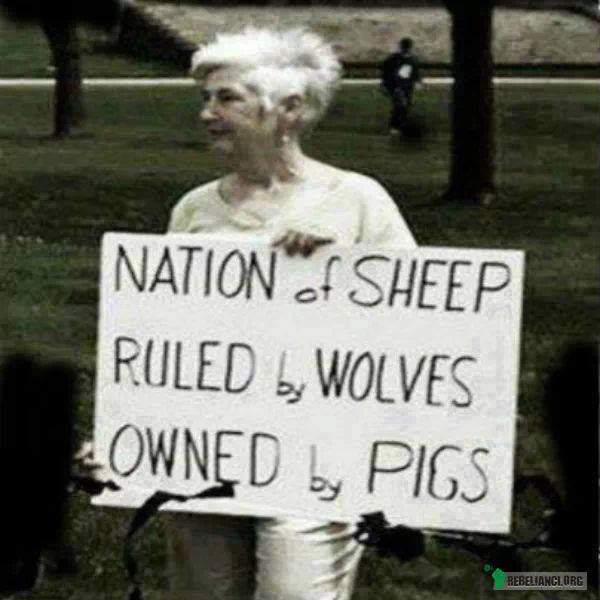 Nacja posłusznych owiec, rządzona przez agresywne wilki, w rekach świń –  