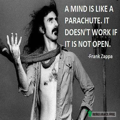 Zappa –  