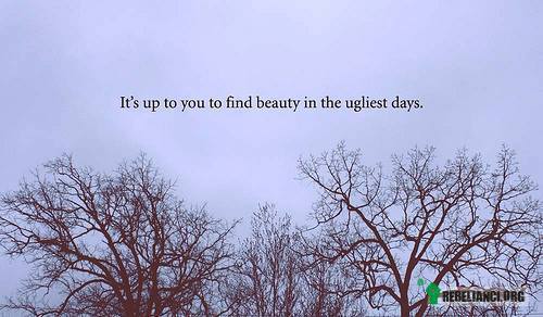 To od Ciebie zależy czy dostrzeżesz piękno –  