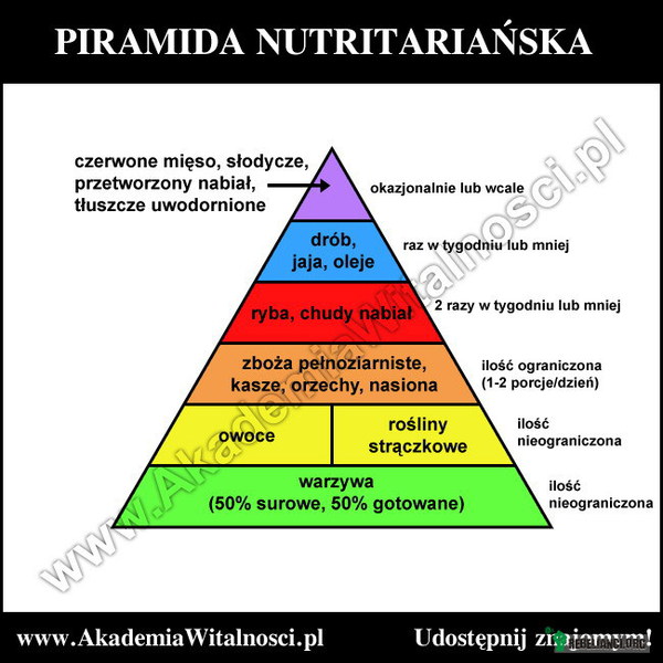 Piramida żywienia –  