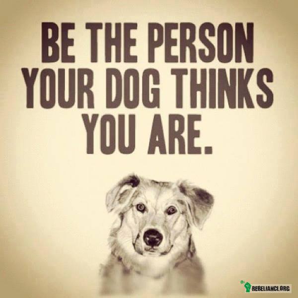 Bądź osobą, którą Twój pies myśli, że jesteś. –  