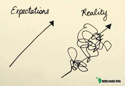 Oczekiwania vs Rzeczywistość –  