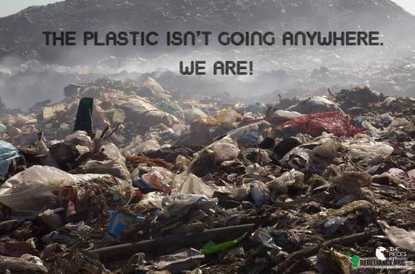 Plastik się nigdzie nie wybiera. My tak. –  