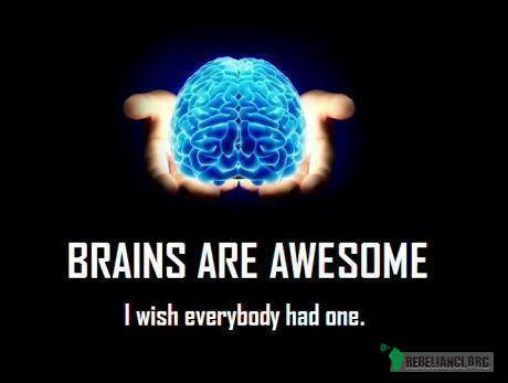 Mózgi są świetne, – chciałabym, żeby wszyscy je mieli. 
