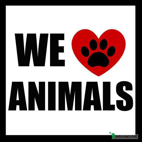 Kochamy zwierzęta. –  