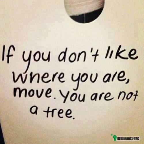 Jeżeli nie podoba Ci się miejsce w którym jesteś, – rusz się, nie jesteś drzewem! :) 