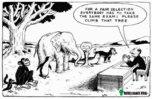 Edukacja, dzisiejsza sprawiedliwość – &apos;Aby było sprawiedliwie, wszyscy wezmą udział w tym samym egzaminie: proszę wejdźcie na to drzewo.&apos; 