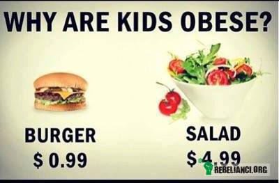Dlaczego dzieci są otyłe? – oto odpowiedź. tak dzisiaj wygląda &apos;promowanie zdrowej żywności&apos; 