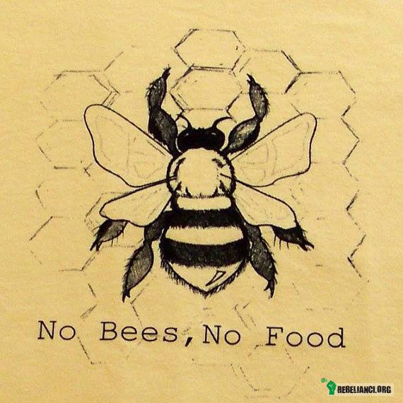 Nie ma pszczół, nie ma jedzenia. –  