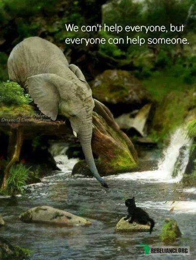 Nie damy rady pomóc wszystkim, ale możemy pomóc komuś. –  