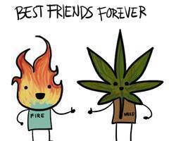 Najlepsi przyjaciele na zawsze –  