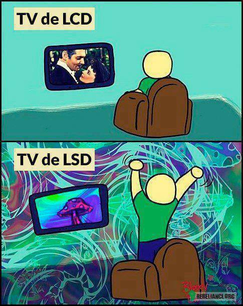 LCD vs LSD –  