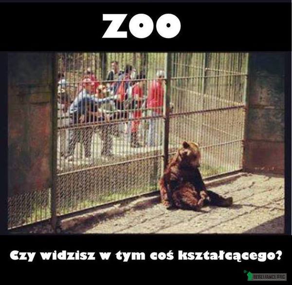 Zoo –  