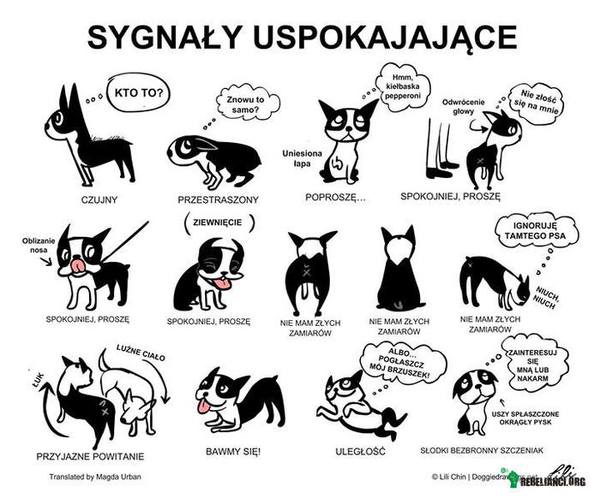 Zrozumieć psi język –  