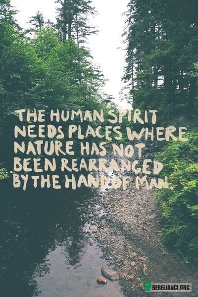 ... – Ludzka dusza potrzebuje miejsca gdzie natura nie będzie uporządkowana przez człowieka 