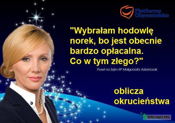 Antyfutro.pl – Takich mamy posłów.

Lobby futrzarzy w Platformie Obywatelskiej rośnie w siłę.

http://panorama.media.pl/content/view/502943/ 