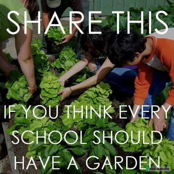 Udostępnij jeżeli myślisz, ze szkoły powinny mieć ogrody –  