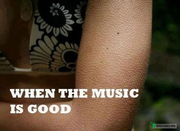 Gdy muzyka jest dobra –  