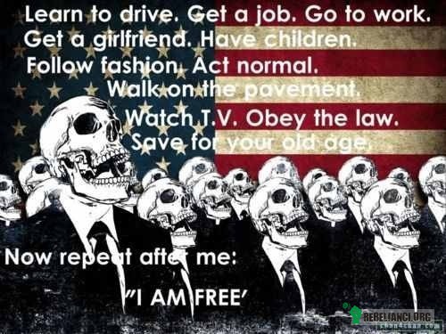 Wolność?! –  