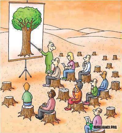 Drzewa –  