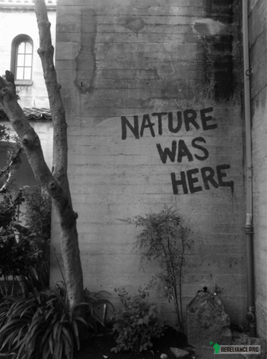 Natura tu była –  