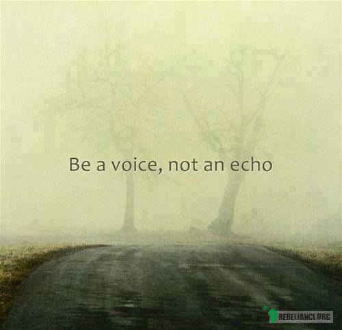 Bądź głosem, nie echem –  
