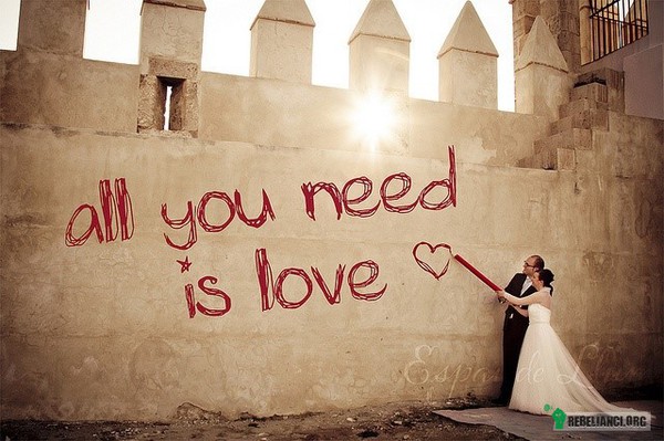 All you need... –  