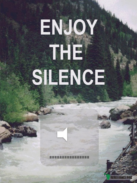 Enjoy the silence –  